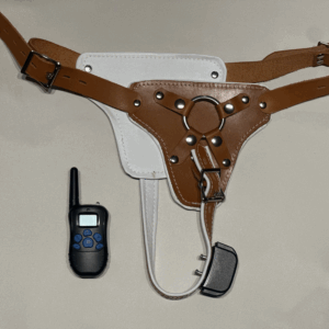 Asylum Style Leather Shock Panties