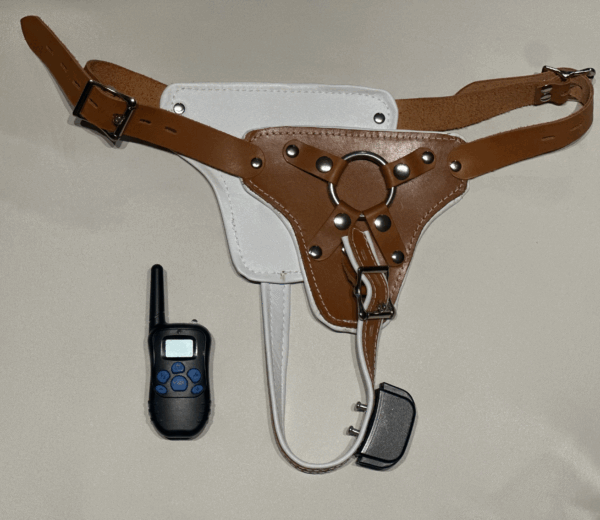 Asylum Style Leather Shock Panties