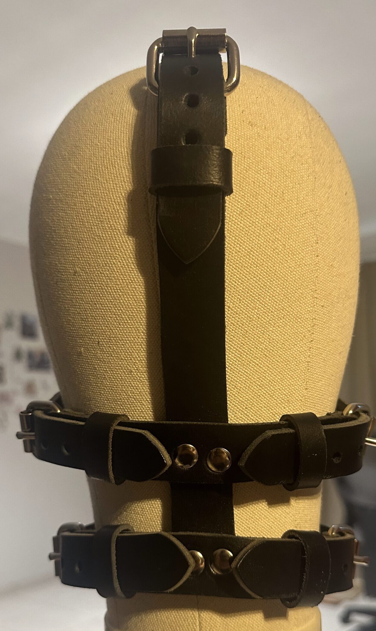 Clear PVC panel gag with leather straps - Image 3