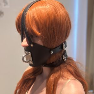 Muzzle gag with eye plate attachment