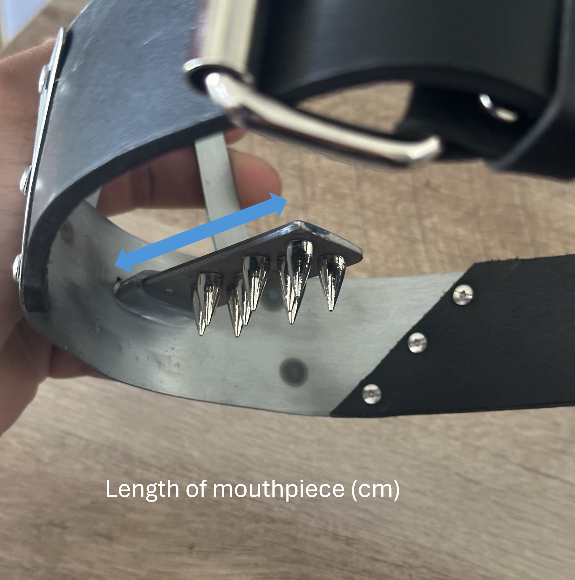 Scold's Bridle - Image 9