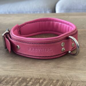 Premium padded leather collar