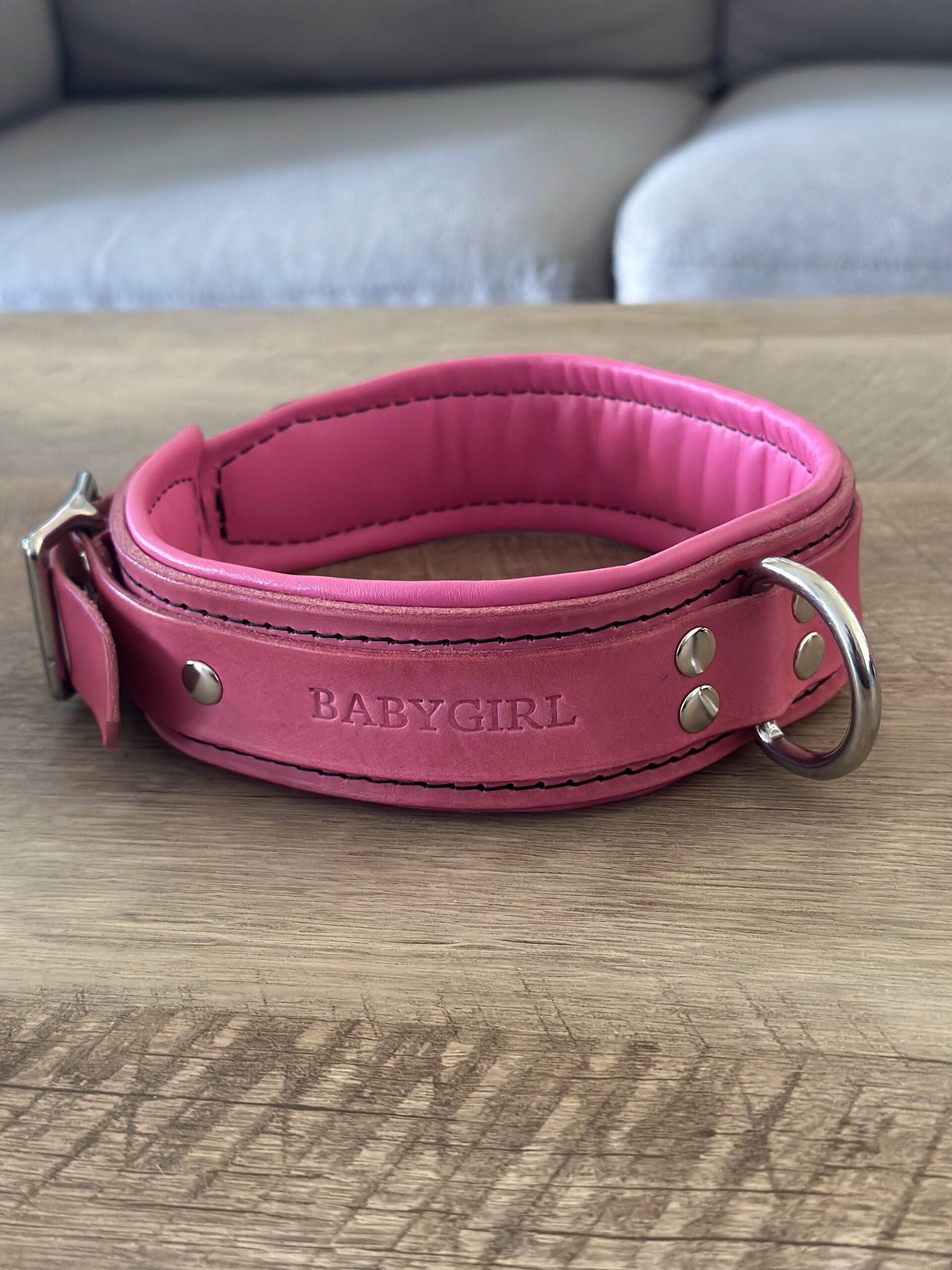 Premium padded leather collar